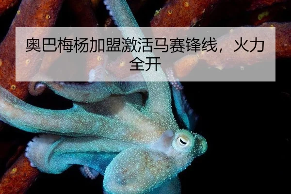 奥巴梅杨加盟激活马赛锋线，火力全开